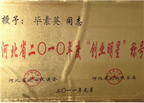 毕素英授予2010年度“创业明星”称号